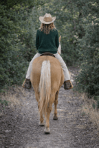 Western Rider Sweater