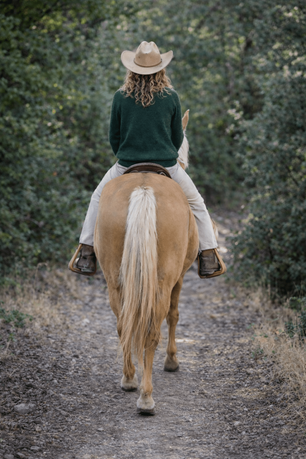 Western Rider Sweater
