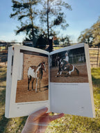 The American Paint Horse Book