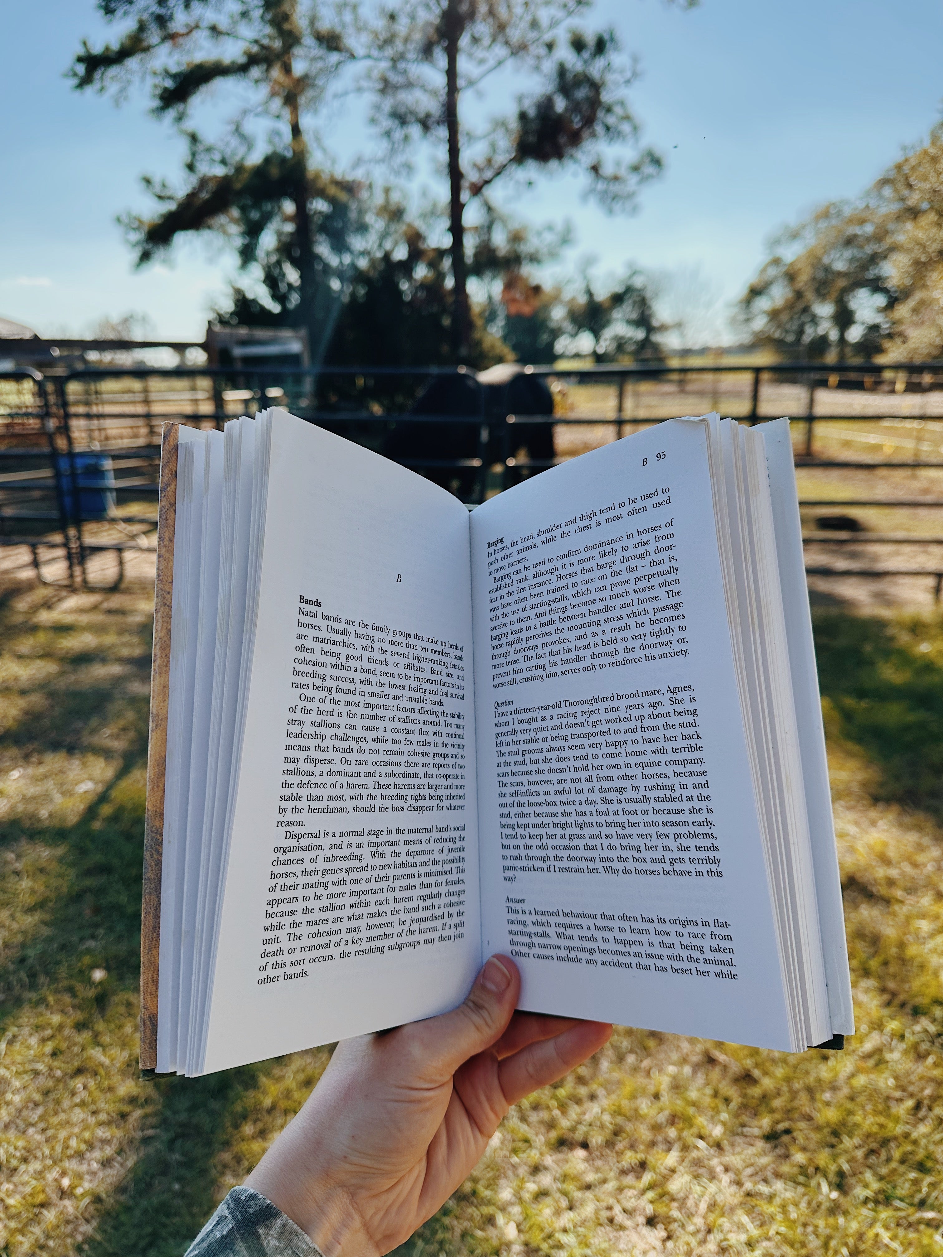 Why Does My Horse…? Book