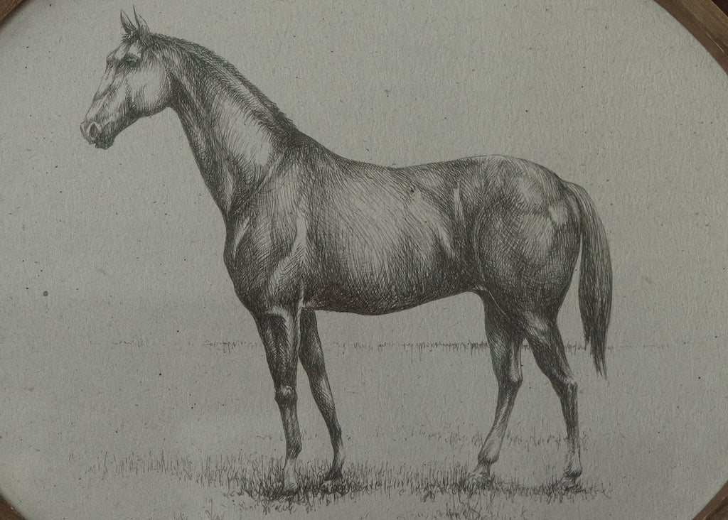 Equestrian Wall Art