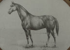 Equestrian Wall Art