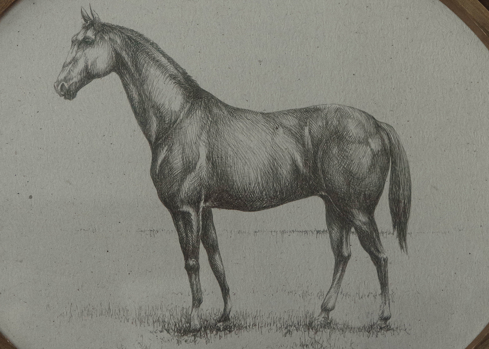 Equestrian Wall Art